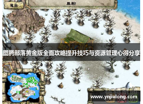 图腾部落黄金版全面攻略提升技巧与资源管理心得分享